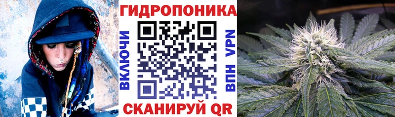 Шишки марихуана OG Kush  Купить закладки  Усмань 
